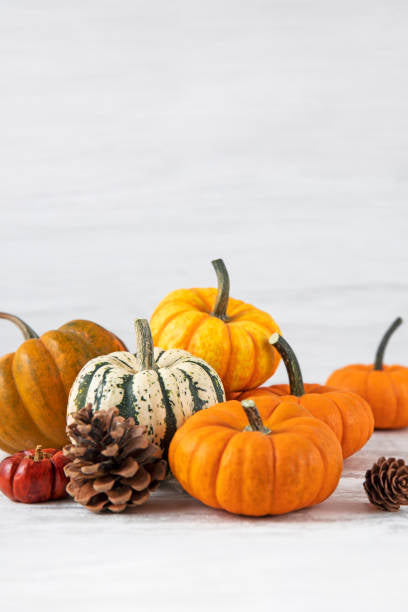 Mini Pumpkins