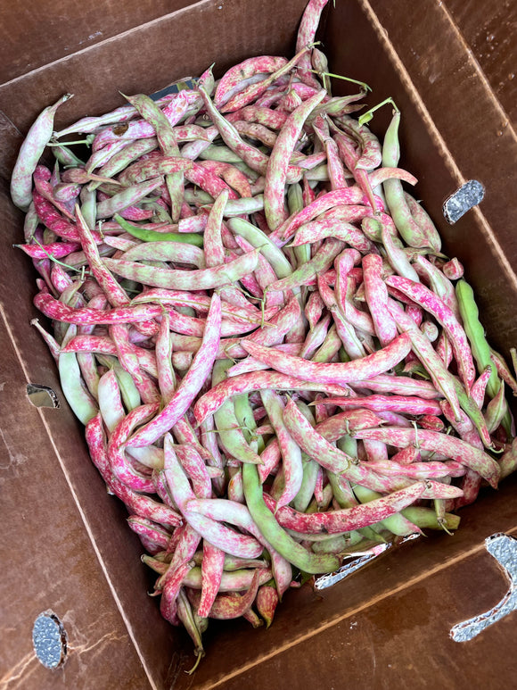 October Beans
