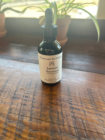 D’Lynn Japanese Knotweed Tincture