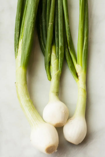 Scallions / Green Onions