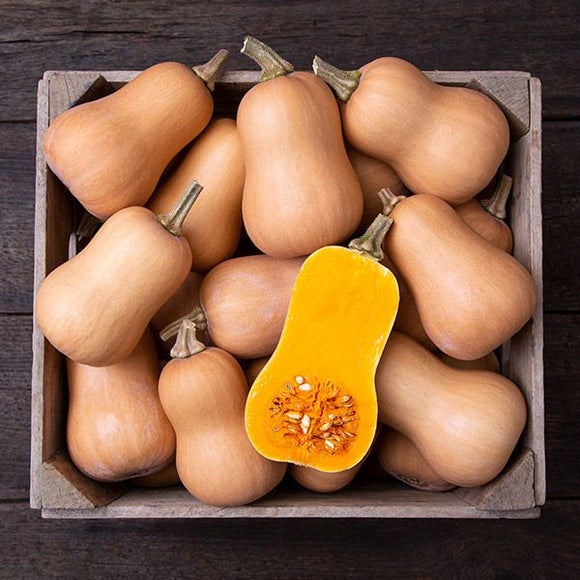 Buttercup Squash