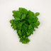 cilantro