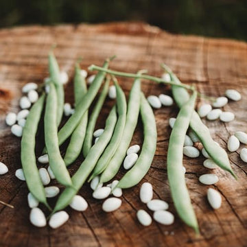 Half Runner Green Beans