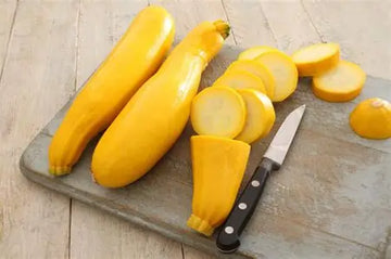 Yellow Summer Squash